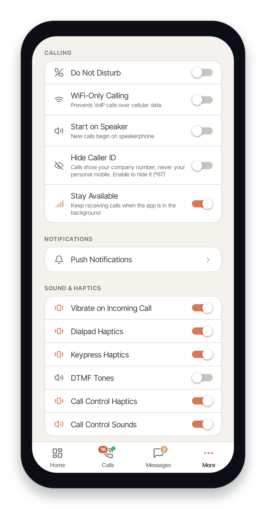 Push Notifications row under the Notifications section on the More tab